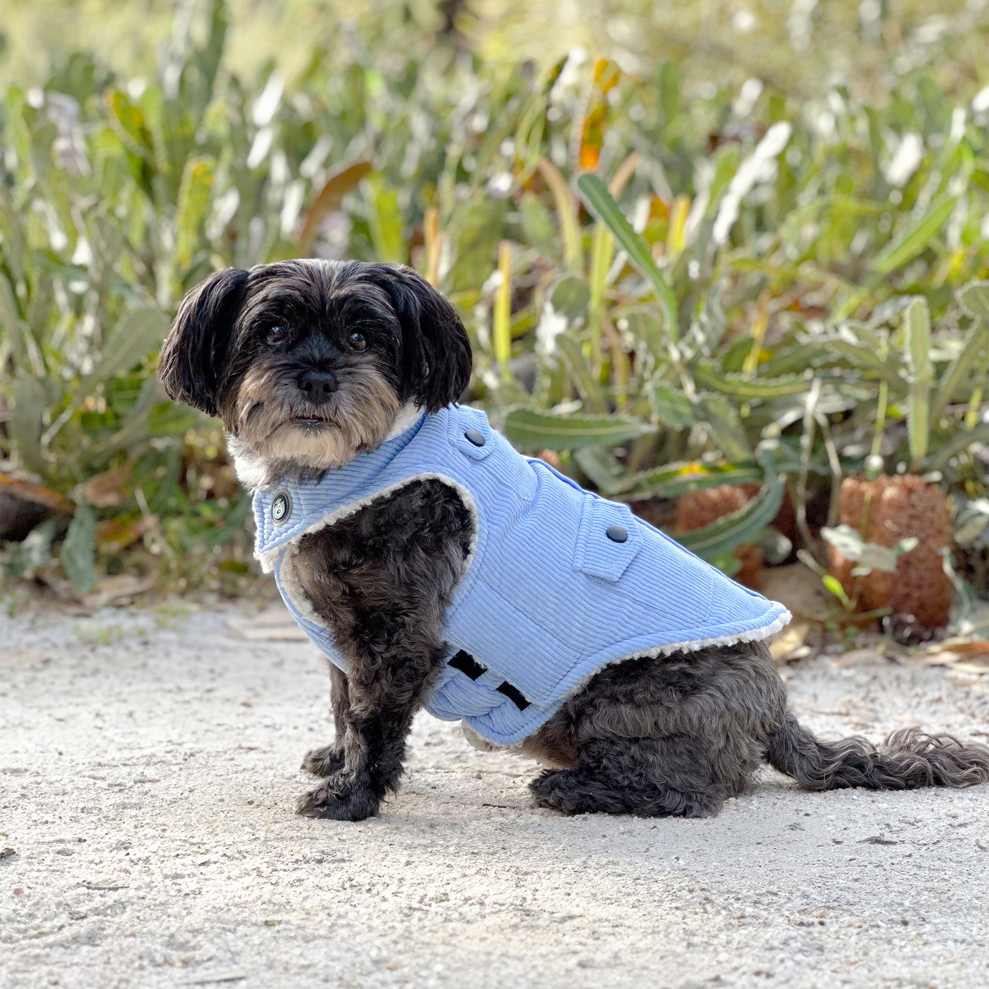 Huskimo Dog Coat Surfer Blue [Sz:27cm]