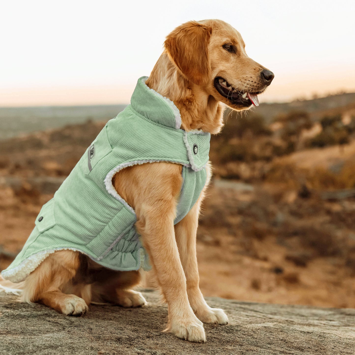 Huskimo Dog Coat Surfer Sage [Sz:27cm]