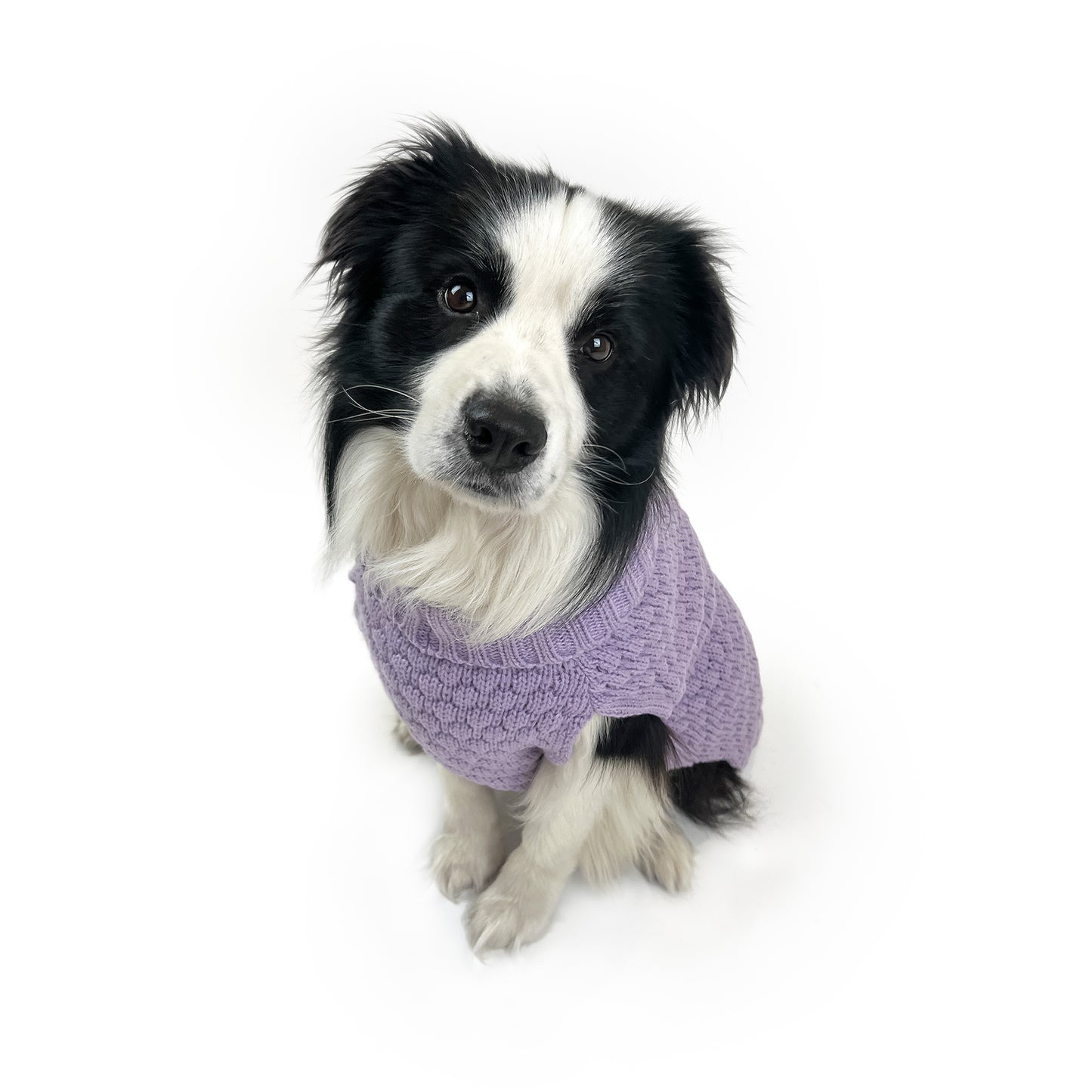 Huskimo Jumper Snuggle Violet [Sz:22cm]