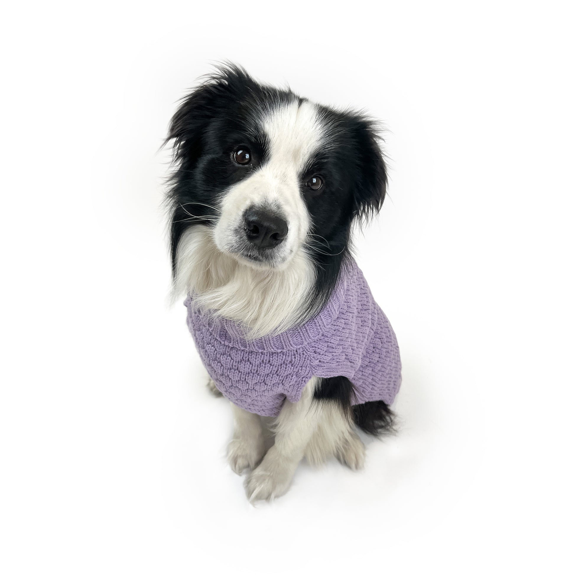 Huskimo Jumper Snuggle Violet [Sz:22cm]