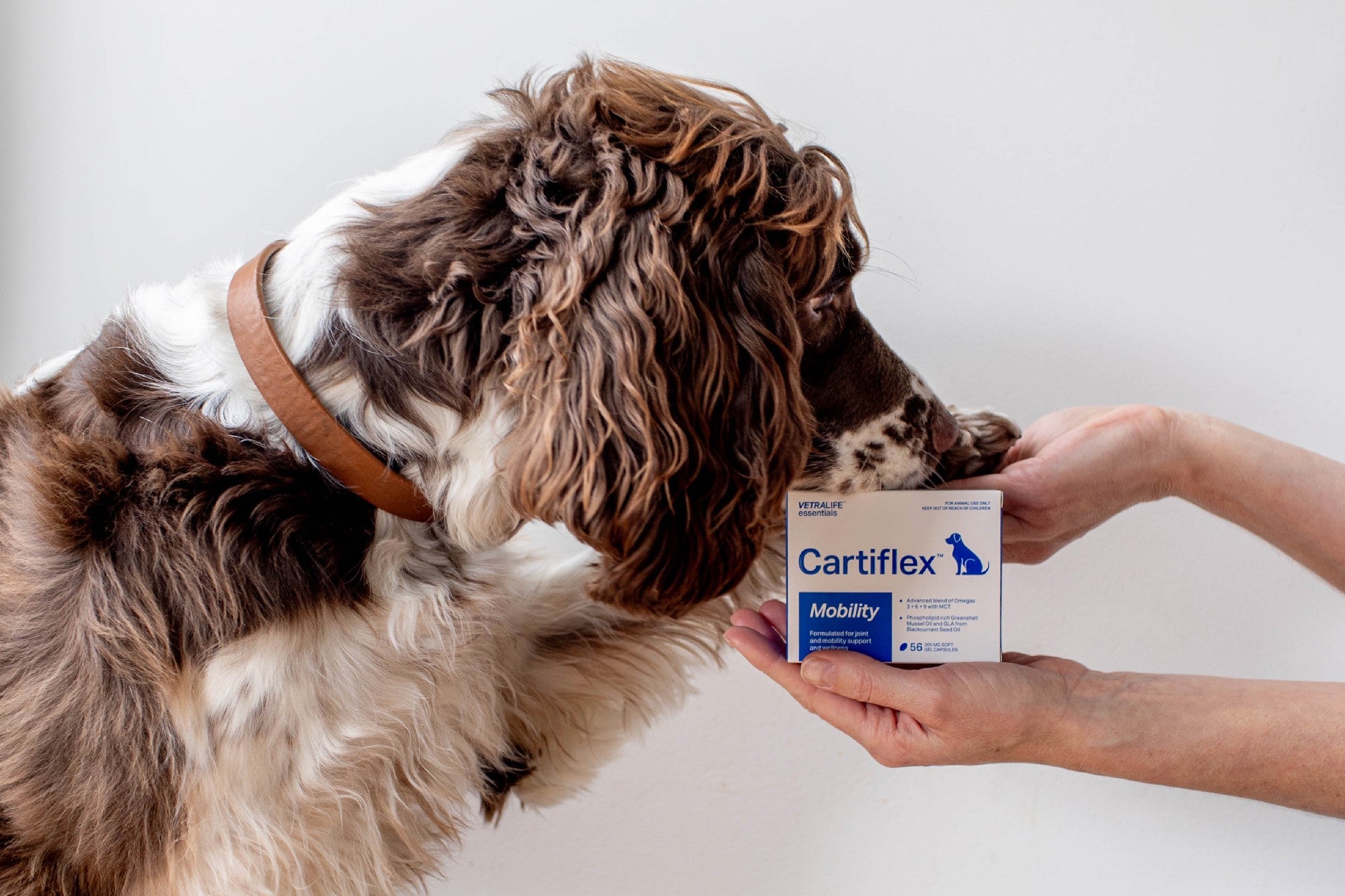 Cartiflex 56 capsules
