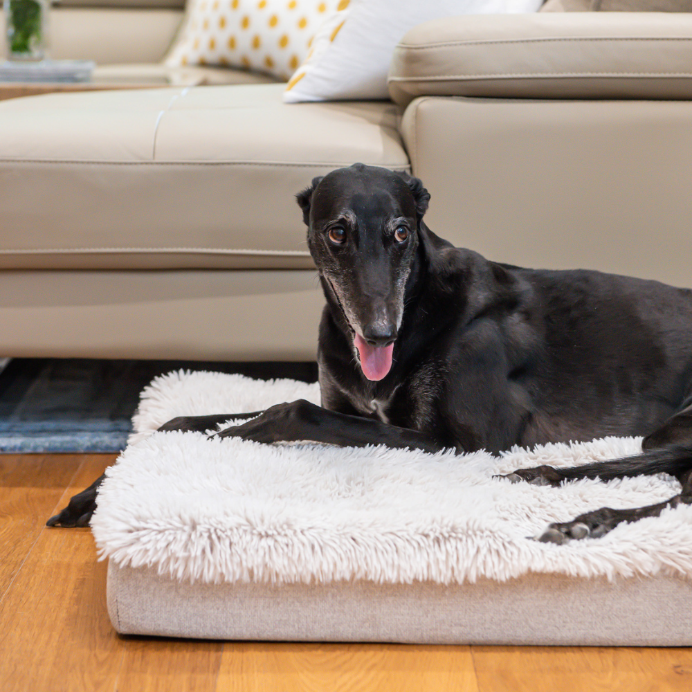 Superior Ortho Calming Dog Mat Aspen Faux Fur Water Resistant [Sz:Medium]