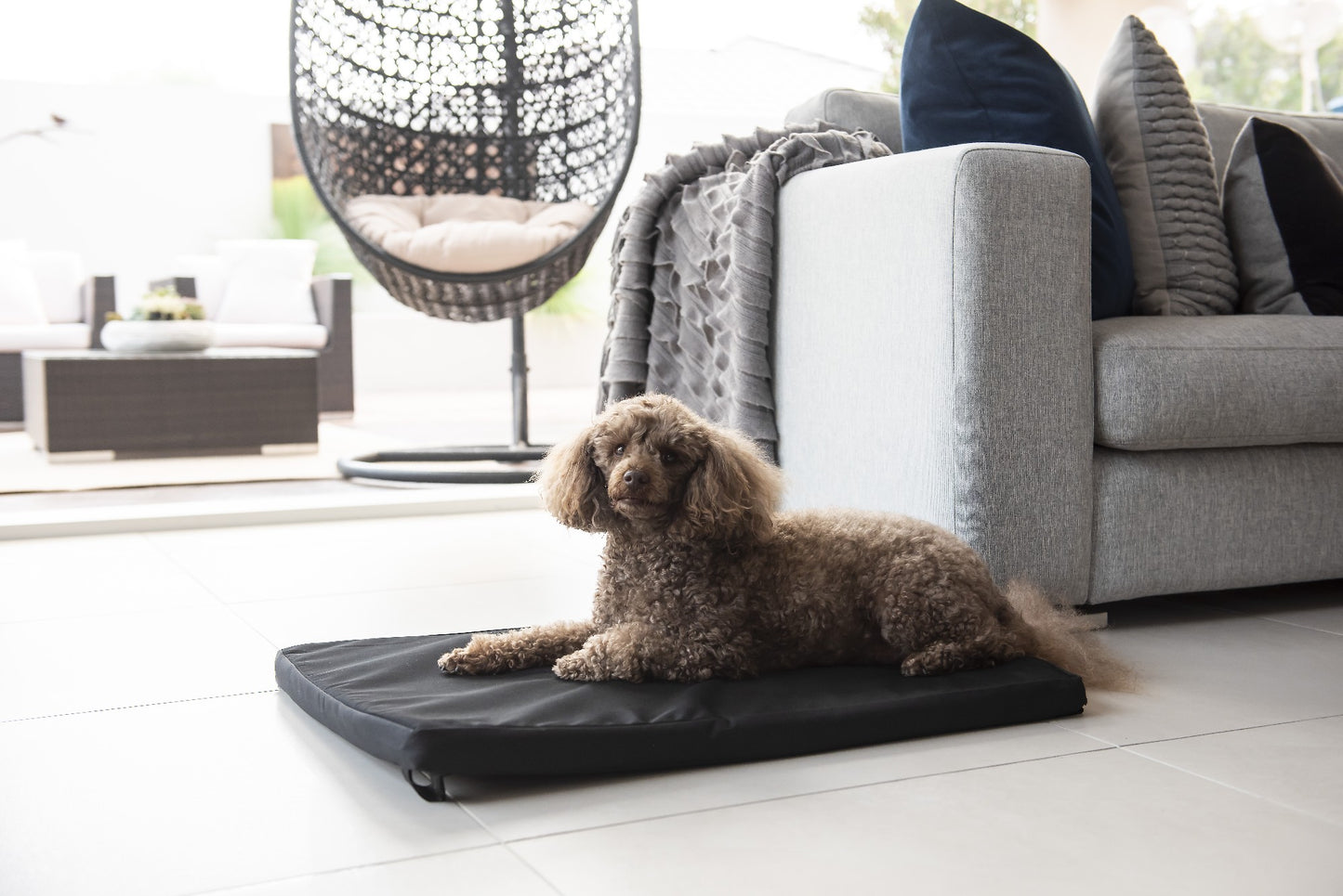 Superior Canvas Dog Mat [Sz:Mini]