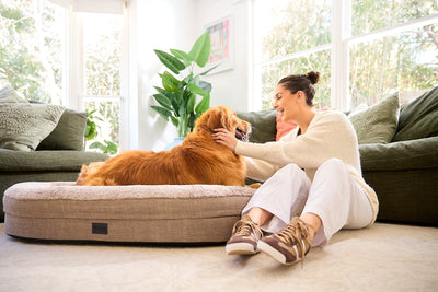 Superior Orthopaedic Memory Rest Puppacino [Sz:Small/Medium]