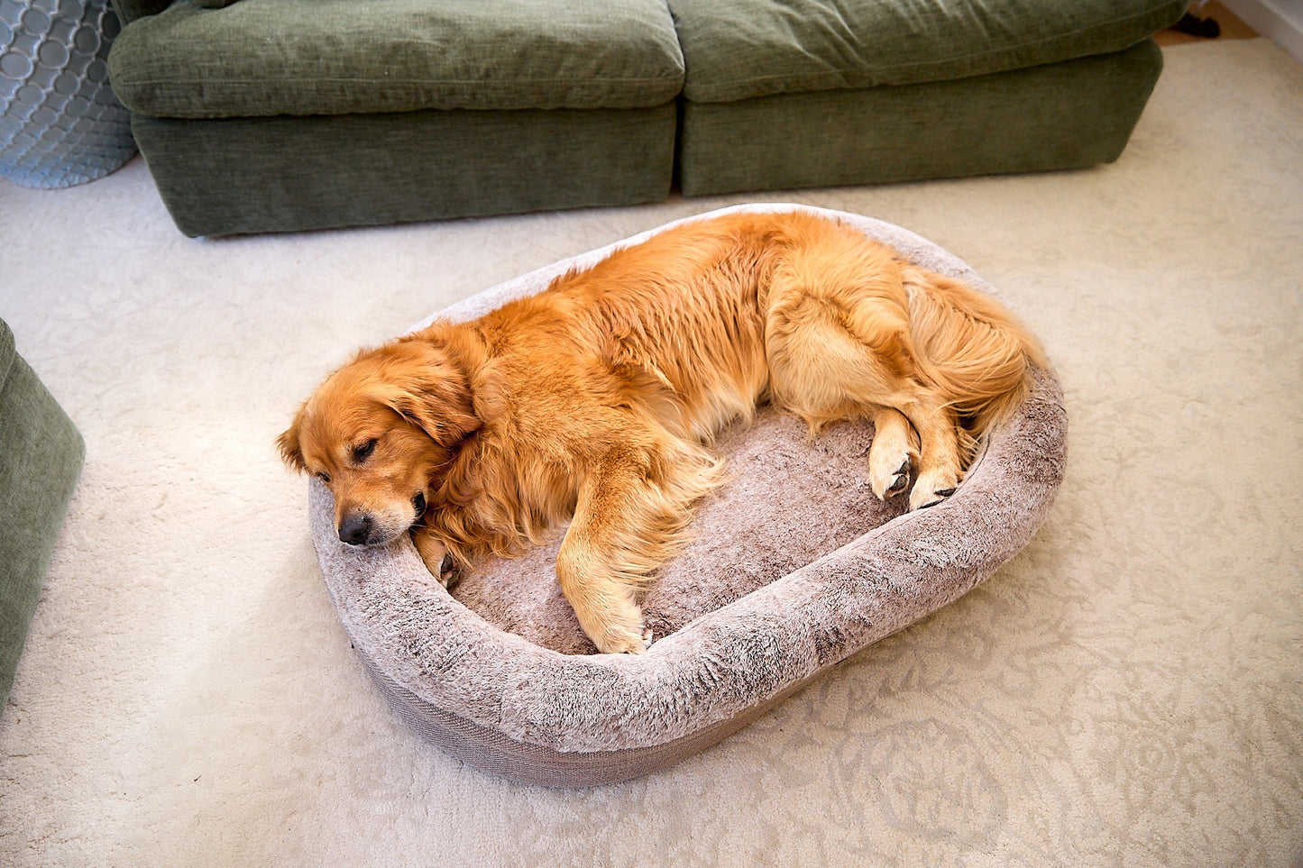 Superior Orthopaedic Memory Rest Puppacino [Sz:Small/Medium]