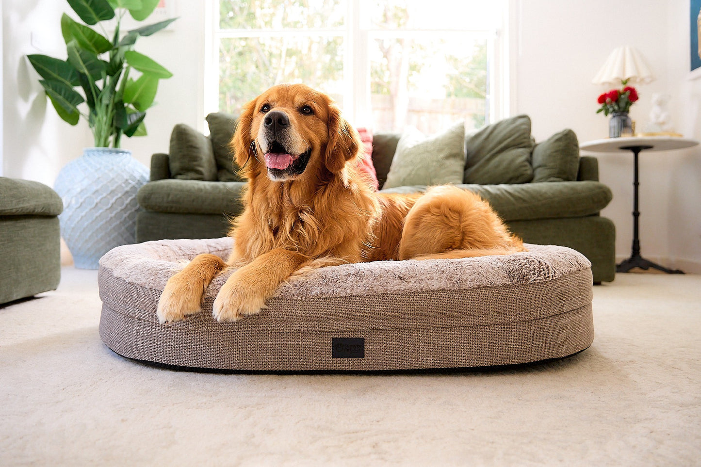 Superior Orthopaedic Memory Rest Puppacino [Sz:Small/Medium]