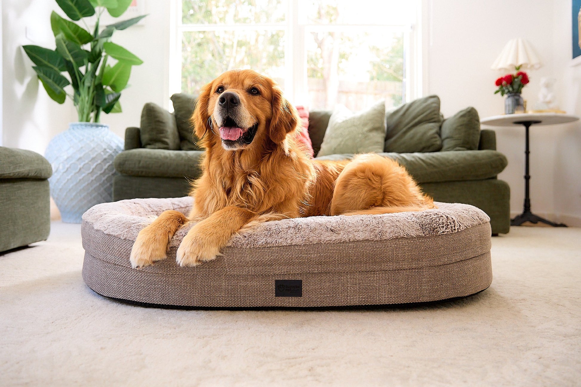 Superior Orthopaedic Memory Rest Puppacino [Sz:Small/Medium]