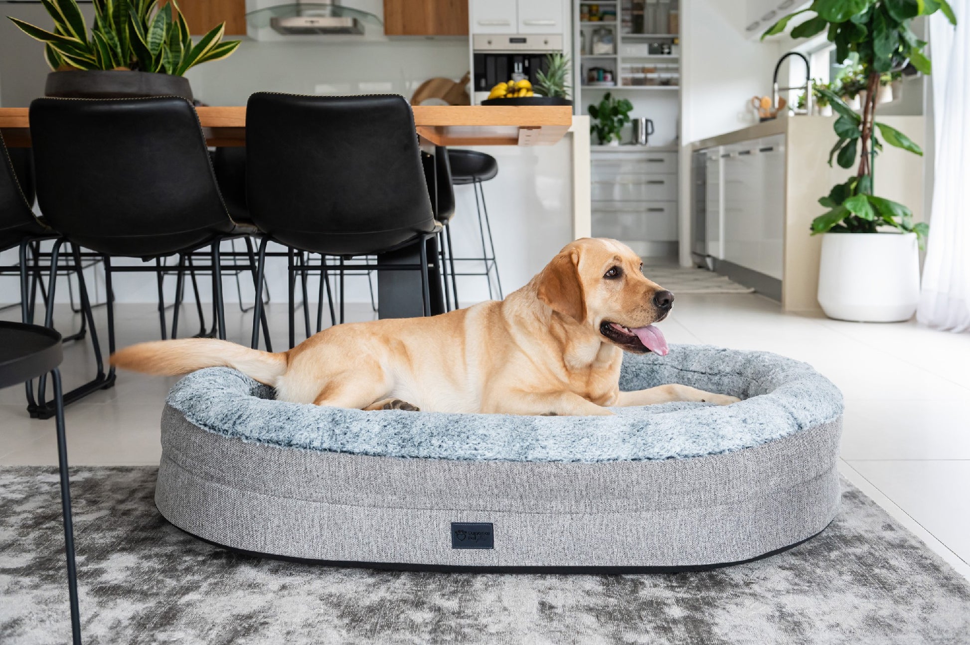 Superior Orthopaedic Memory Rest Harlow Grey & Artic [Sz:Small/Medium]