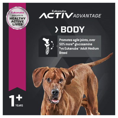 Eukanuba Dog Large Breed Adult 15kg 