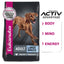 Eukanuba Dog Large Breed Adult 15kg 