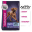 Eukanuba Dog Large Breed Puppy 15kg 