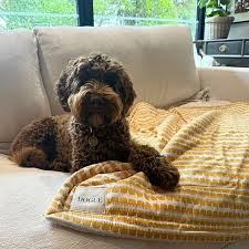 Dogue Coastal Chic Blanket Mustard