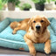 Dogue Luxe Bed Sea Green Small