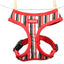 Dogue Striped Harness Red/Black Large