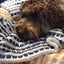 Dogue Coastal Chic Blanket Navy