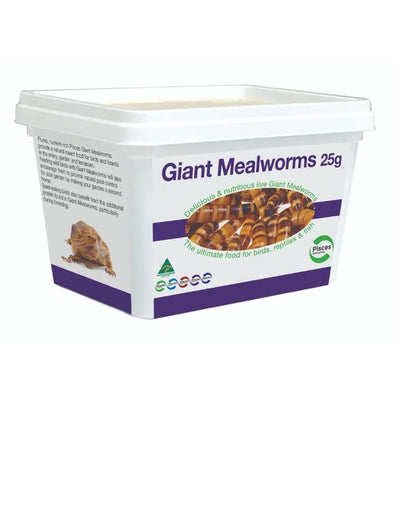 pisces giant mealworms 25g *In store pick up*