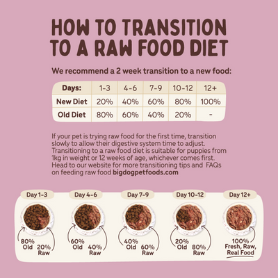 Big Dog Small Dog Combo Raw Food for Dogs