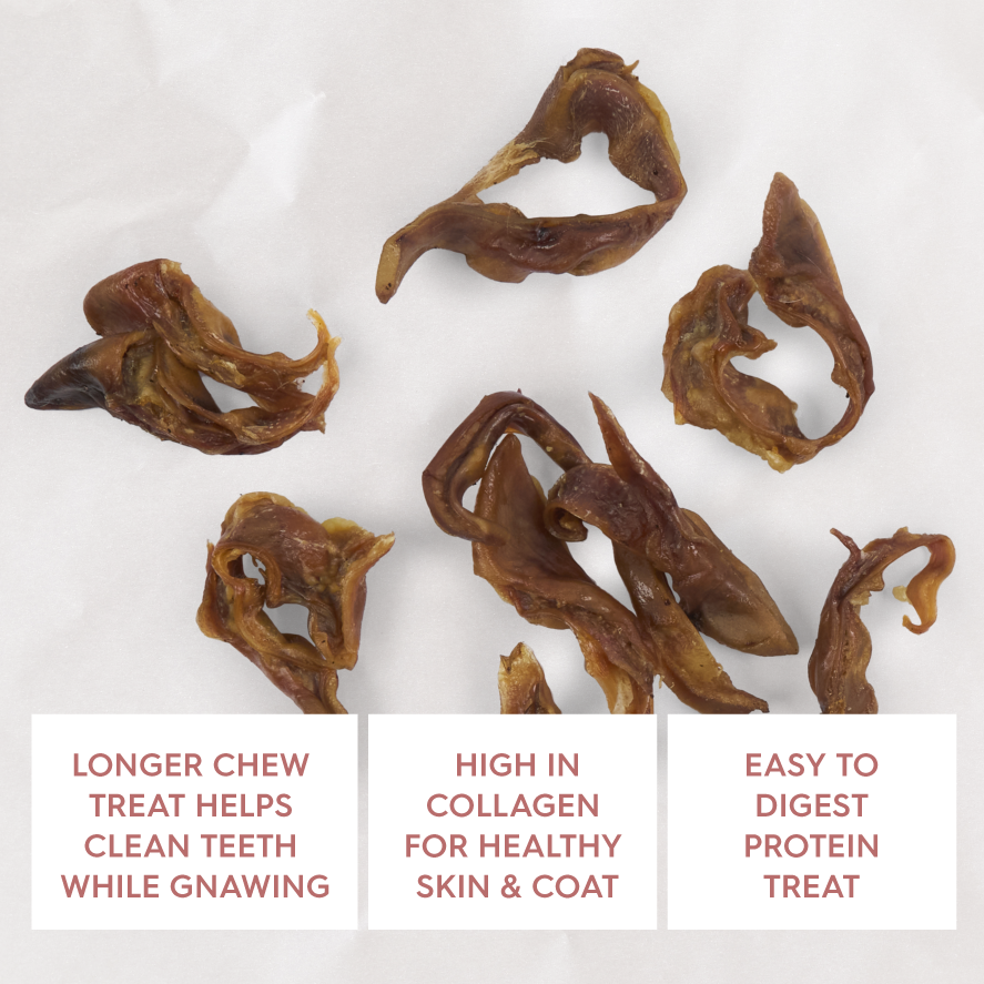 Kazoo Prime Cuts Pig Ear Strips - 100g