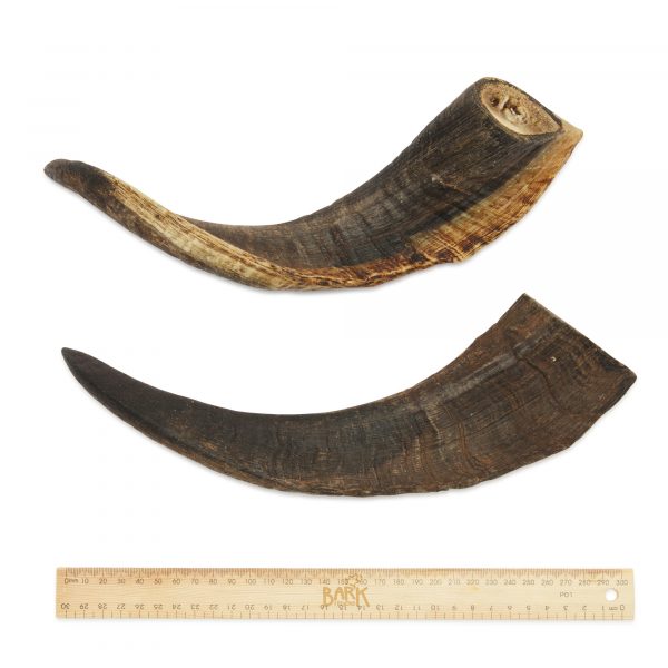 Bark & Beyond Goat Horn