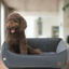 Indie & Scout Recycled Velvet Square Bolster Bed Large Slate
