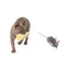 Indie & Scout Plush Mouse Toy Grey