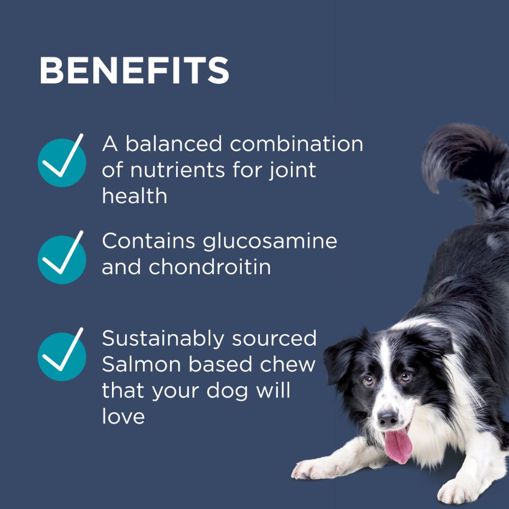 Paw Osteocare Chews 500g 