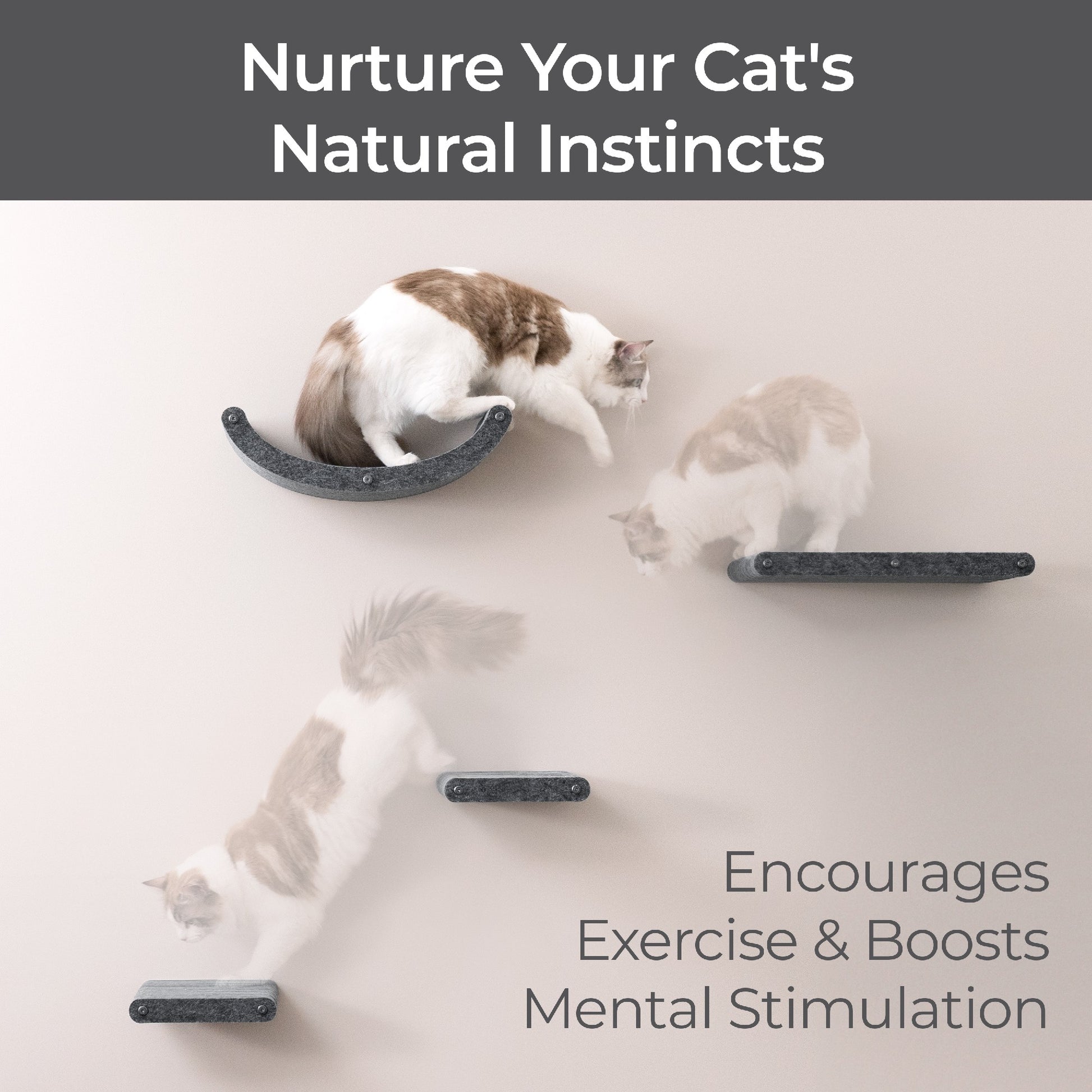 Pryde Pets Cat Climber Set of 4 Shelves Charcoal