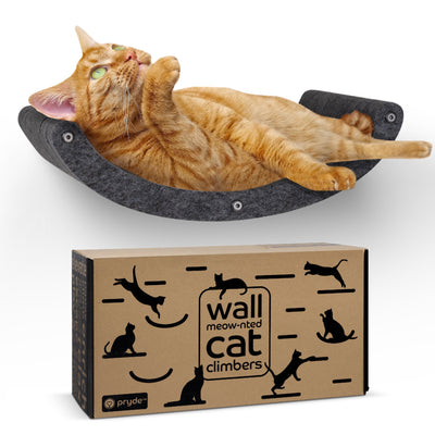Pryde Pets Cat Climber Curved Shelf Charcoal