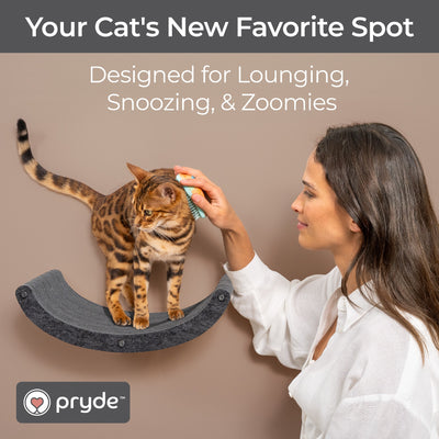 Pryde Pets Cat Climber Curved Shelf Charcoal