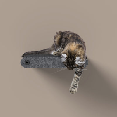 Pryde Pets Cat Climber Short Steps (2) Charcoal