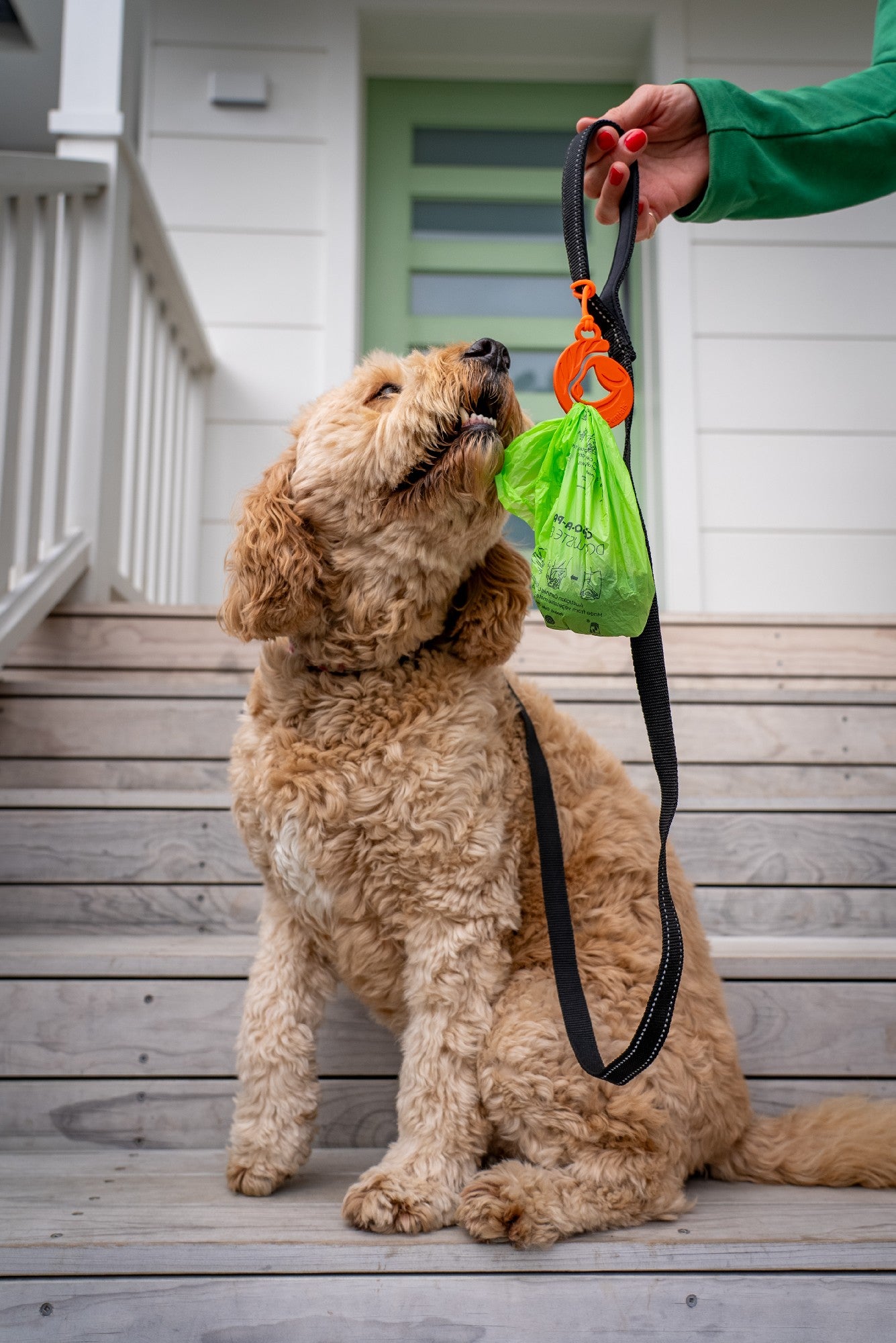 Poop Pal Orange Single