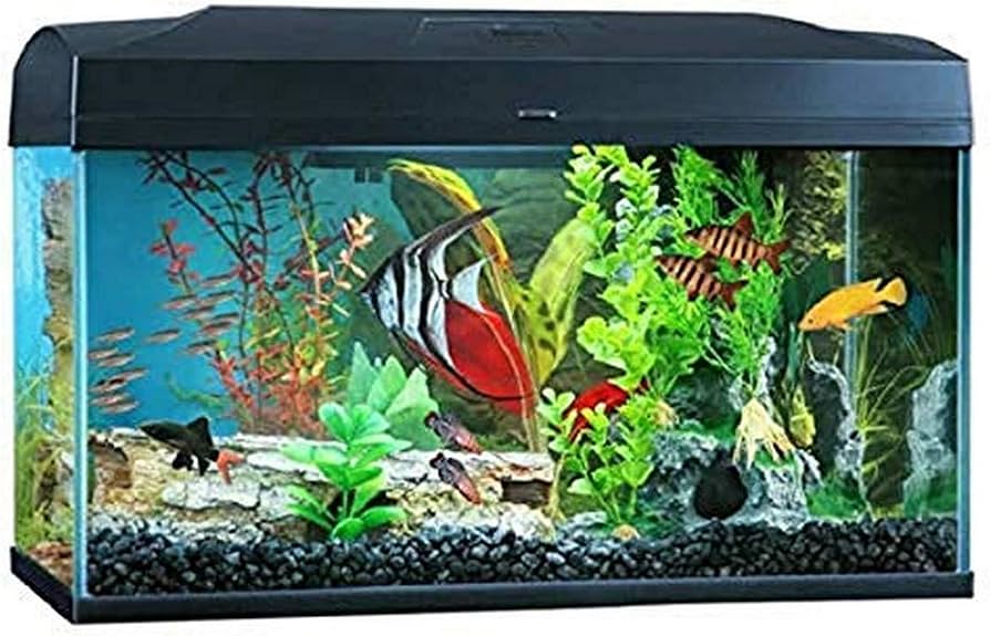 Blue Planet Classic Aquarium 50 Litre