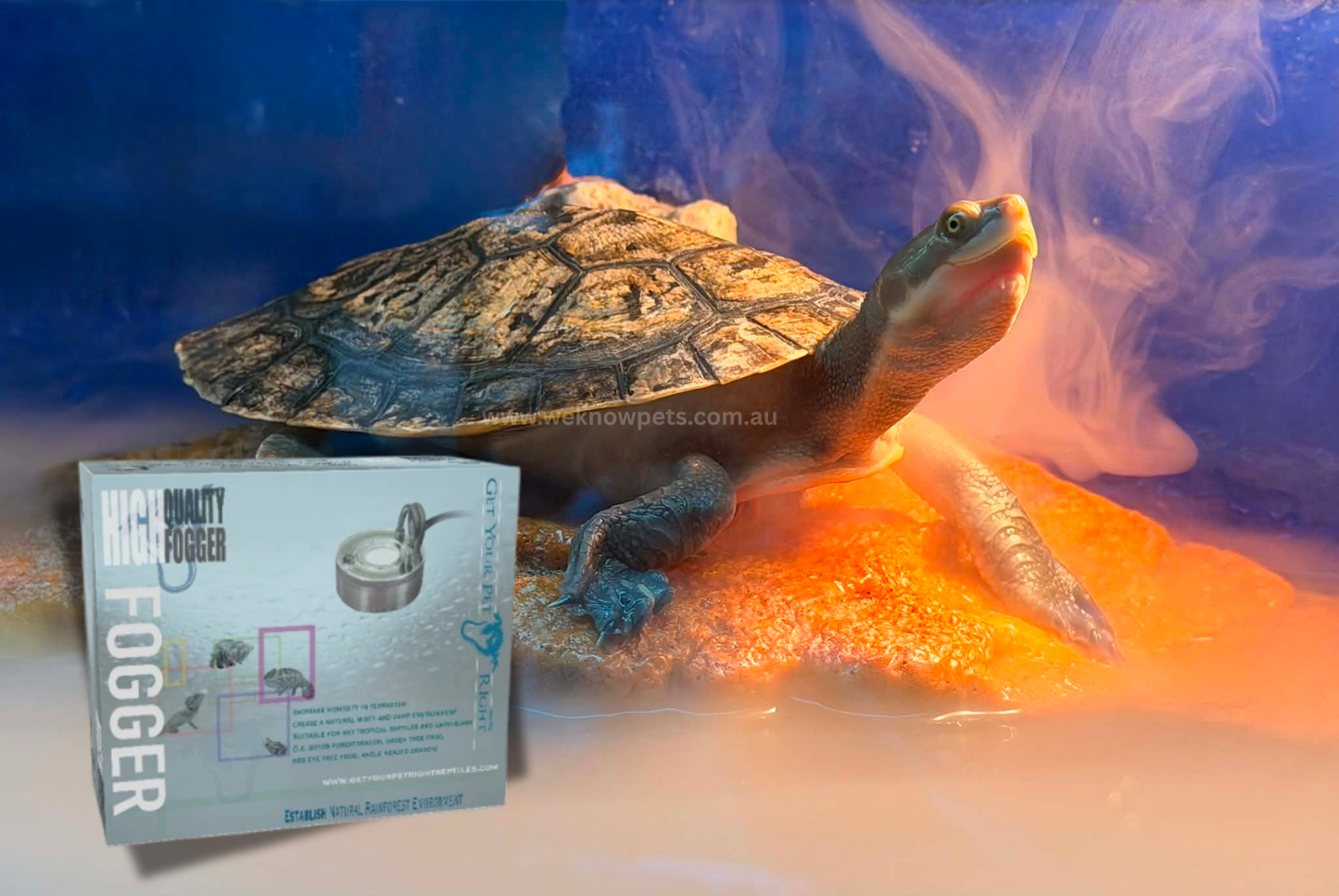 Get Your Pet Right Fogger
