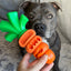 Chomp Carrot