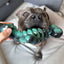Chewzilla Sea Chomper