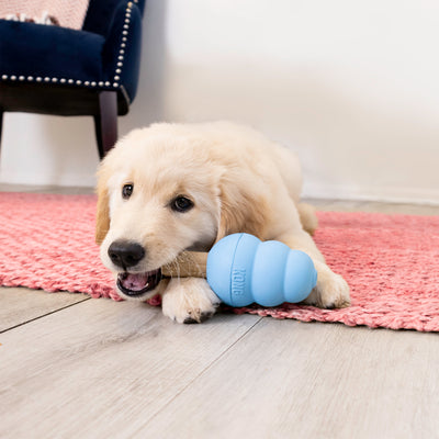 Puppy KONG Blue