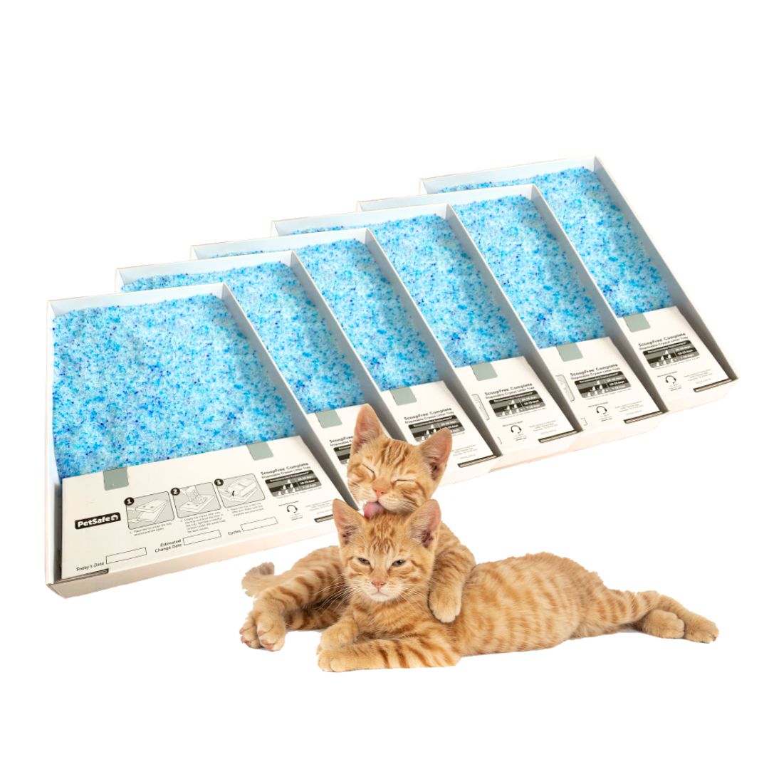 ScoopFree Litter Tray Replacement Tray Bulk 6 pack