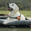 Ezy Dog 2In1 Ortho Calm Elite Bed Large Charcoal/Black