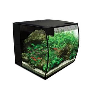 Fluval Flex Unit 34 litre Aquarium with curved glass front