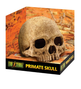 Exo Terra Primate Skull Ornament