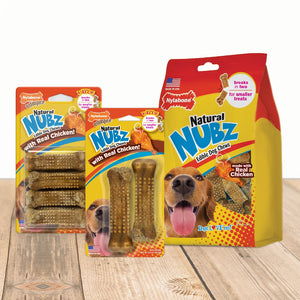 Nylabone Nubz Chicken/Bacon Small on Card 4 pack