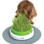 Catit 2.0 - Senses Grass Planter