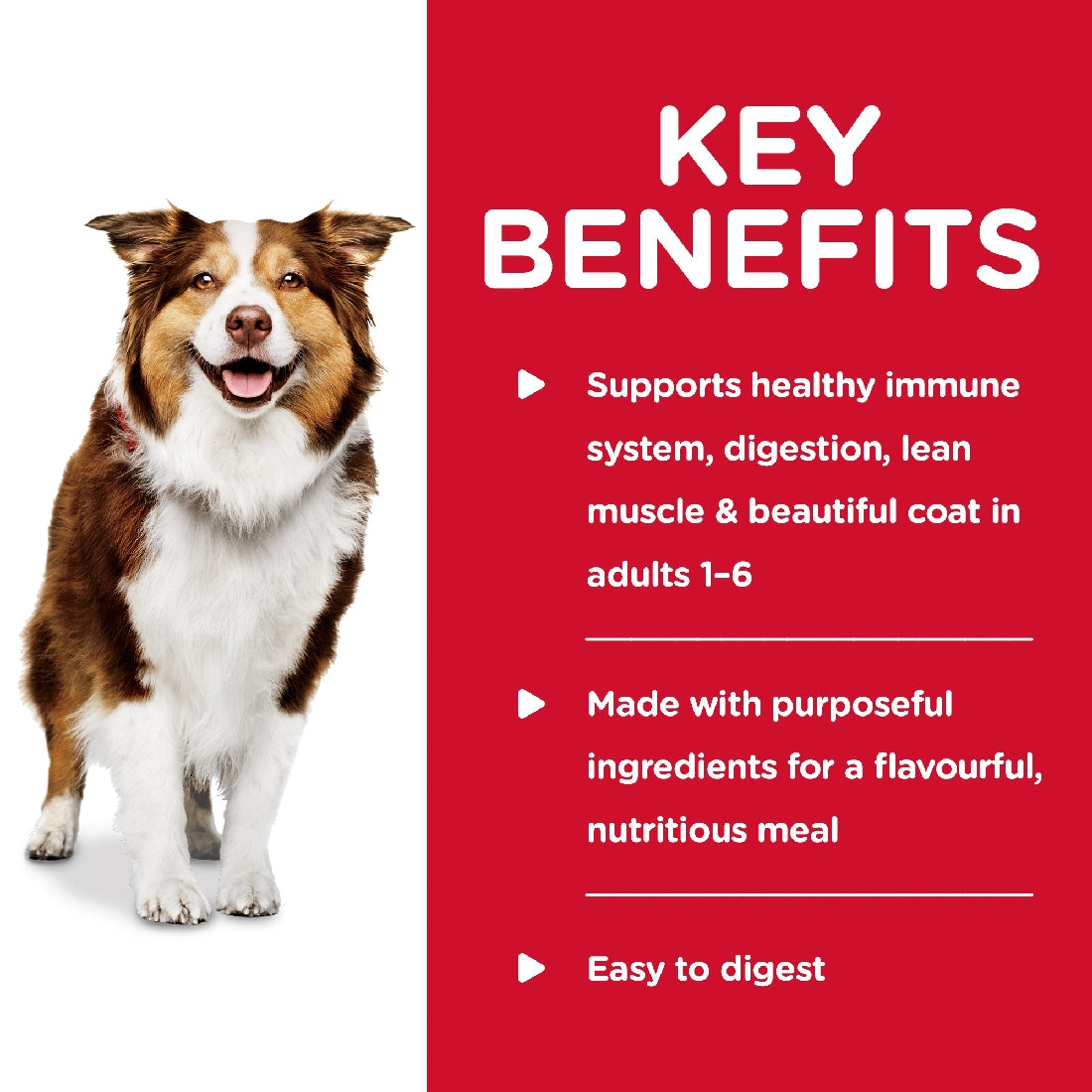 Pack of Science Diet Dog Healthy Cuisine Chicken & Carrot Stew 354g Can