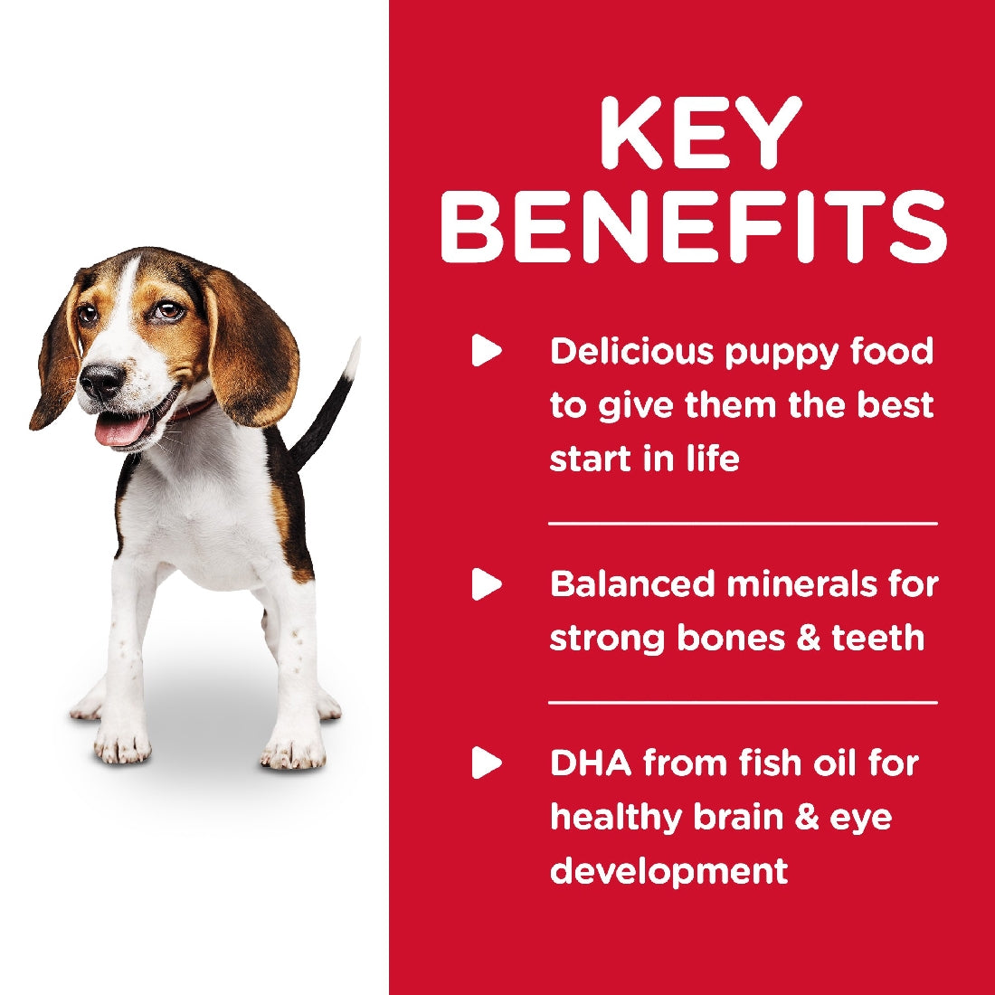 Pack of 12 Science Diet Dog Puppy Chicken & Barley Can 370g