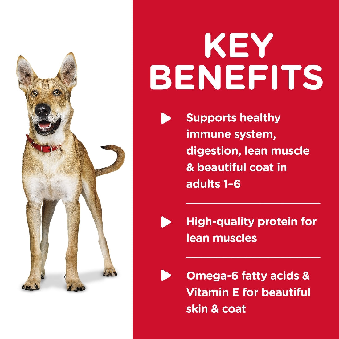 Pack of 12 Science Diet Dog Adult Chicken 370g can
