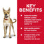Pack of 12 Science Diet Dog Adult Beef 370g can