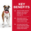 Pack of 12 Science Diet Dog Adult Light 370g can