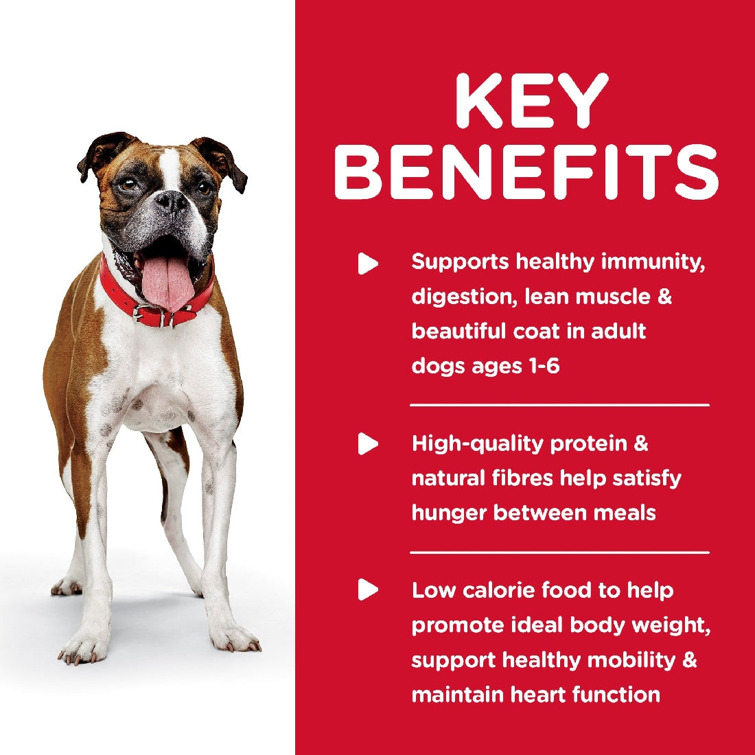 Pack of 12 Science Diet Dog Adult Light 370g can