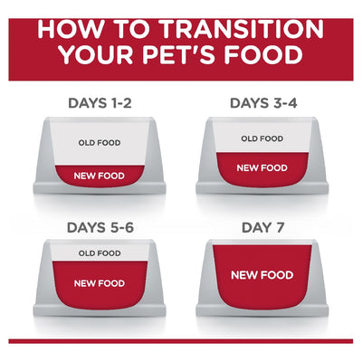 Science Diet Cat Kitten Indoor 3.17kg