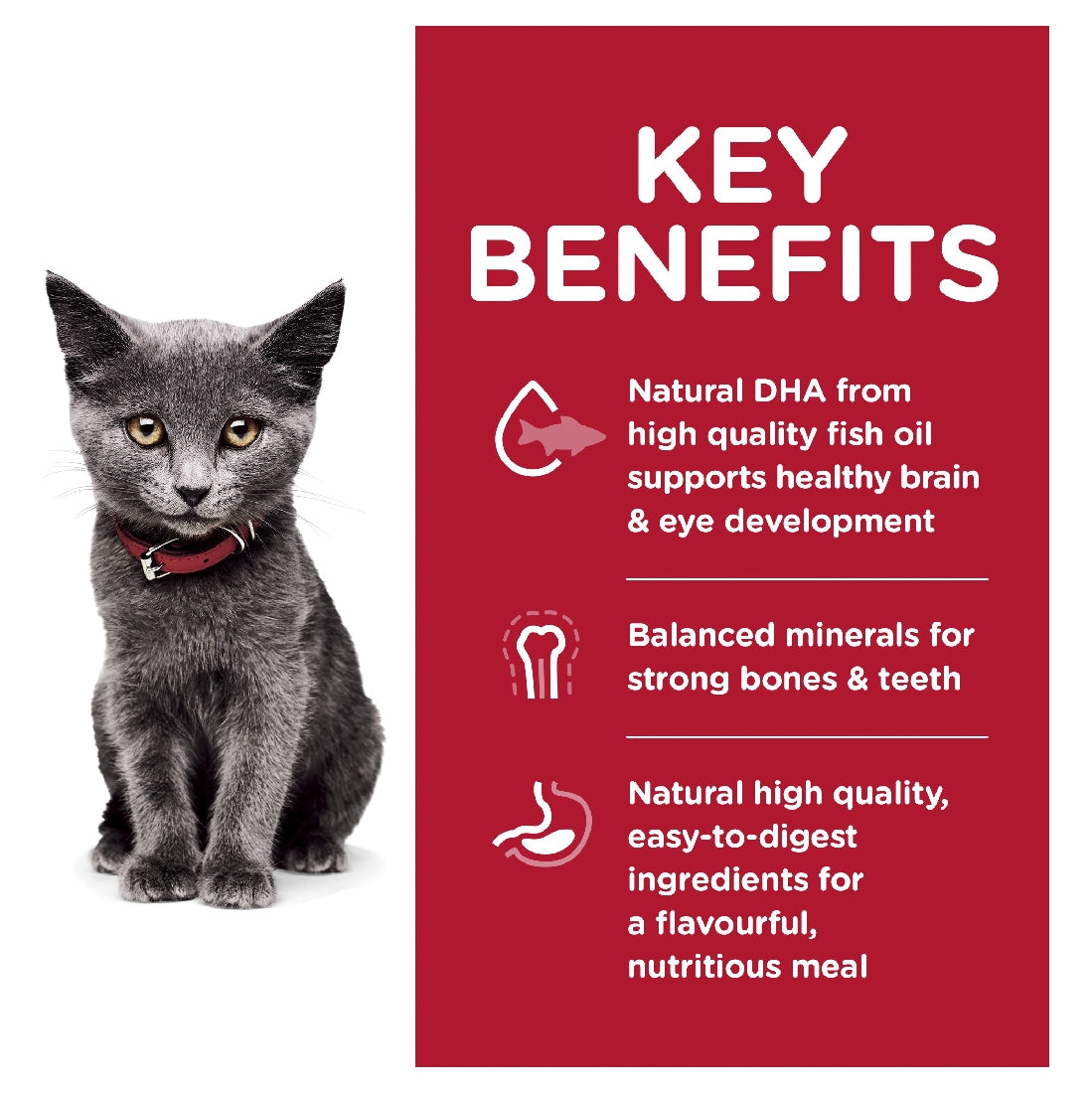 Science Diet Cat Kitten Indoor 3.17kg